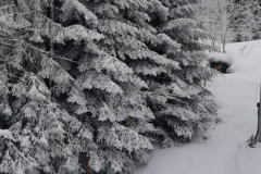 Styczniowy wypad na narty w Beskidy