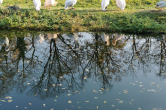 Wycieczka do ZOO w Opolu - nagroda w szkolnych konkursach