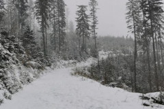 Wyjazd w góry - nagroda w szkolnych konkursach świątecznych